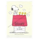 Conjunto de Papel de Carta Snoopy & Woodstock AM Antigo Peanuts japan