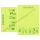 Conjunto de Papel de Carta Antigo Peanuts CLI Hallmark Japan