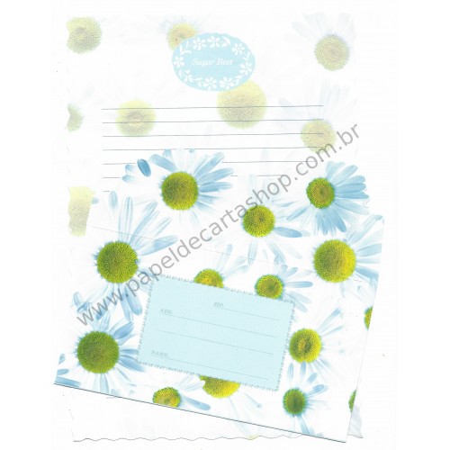 Conjunto de Papel de Carta Antigo (VINTAGE) Sugar Beet