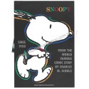 Conjunto de Papel de Carta SNOOPY CLR Vintage Hallmark Japan