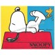 Conjunto de Papel de Carta Snoopy & Woodstock D Vintage Hallmark Japan