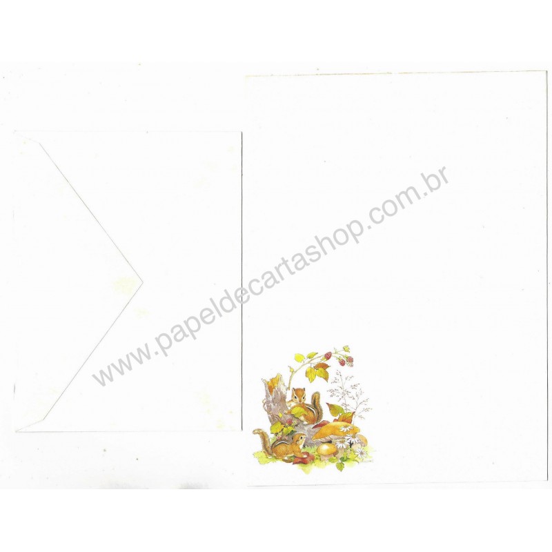 Conjunto de Papel de Carta Antigo Importado Squirrel