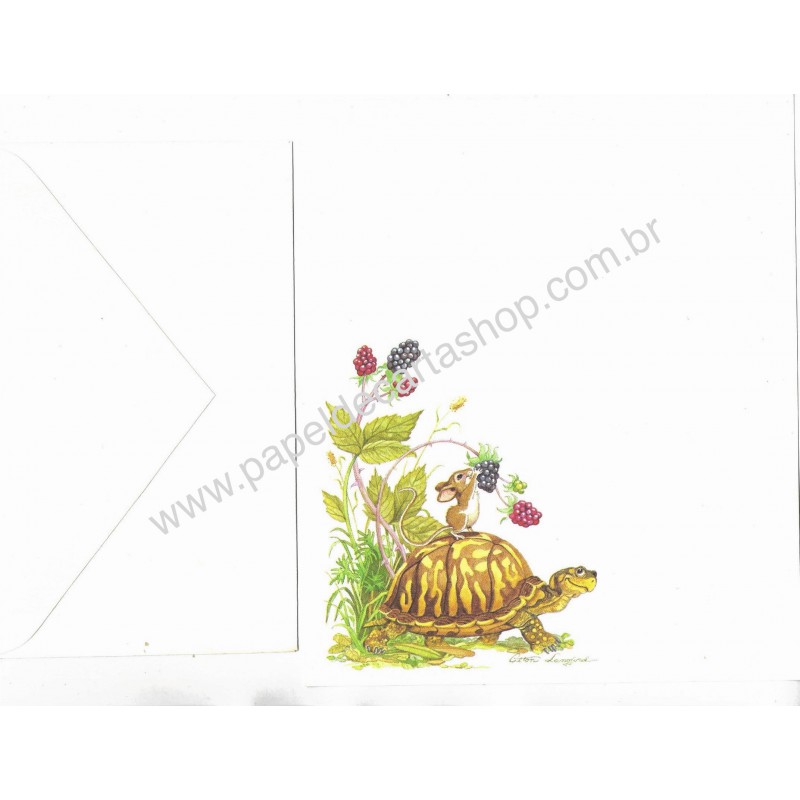 Conjunto de Papel de Carta Antigo Turtle Hallmark