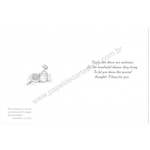 Notecard Cartão Importado Steph Bonnets and Blessings 23473-7W