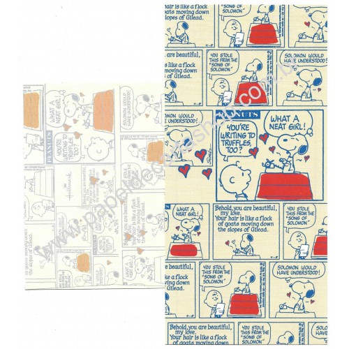 Conjunto de Papel de Carta Snoopy Peanuts Beautiful Hallmark